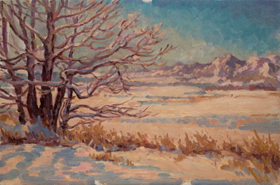  CAT# 2491  Rocky Mountains from Coot lake, sunny morning  oil 16 x 24  Leif Nilsson winter 2003 ©