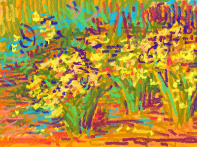 CAT# 3862 Daffodil Garden energy	12 x 9	inches Leif Nilsson spring 2024	©